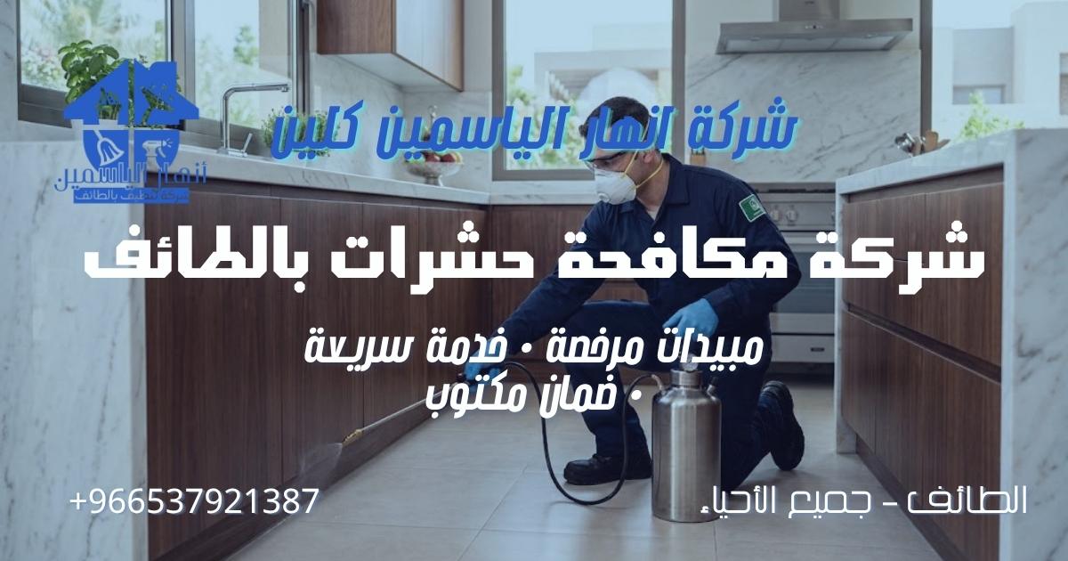 فني من شركة مكافحة حشرات بالطائف ينفذ أعمال رش الحشرات داخل منزل باستخدام مبيدات مرخصة.