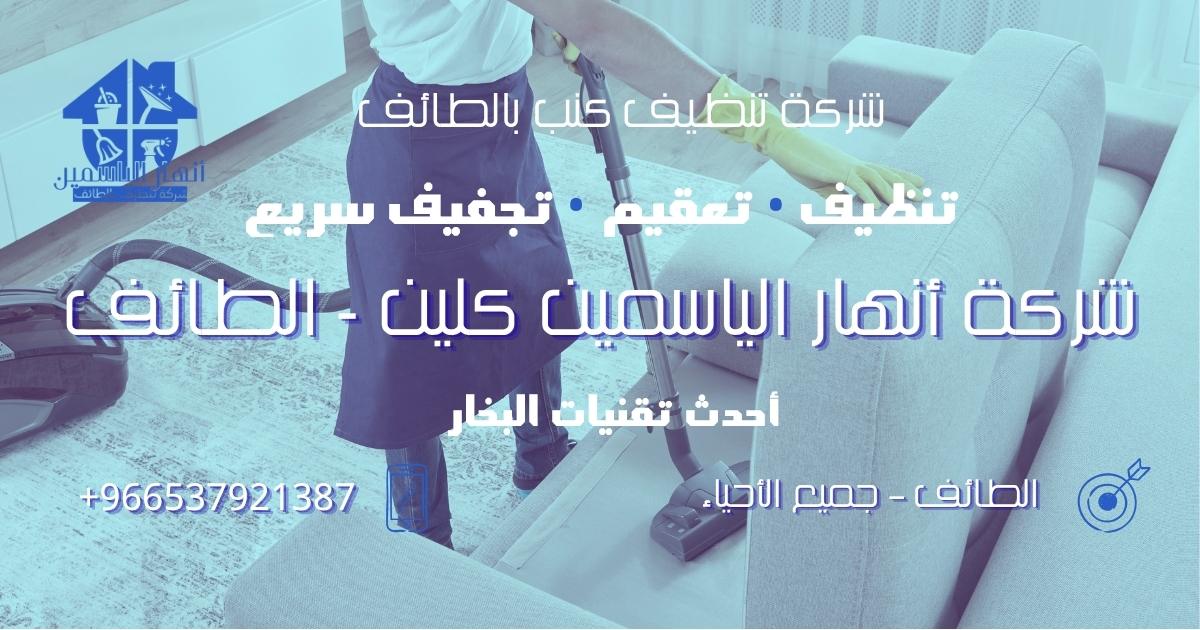 شركة تنظيف كنب بالطائف تقدم خدمات تنظيف الكنب بالبخار والتعقيم داخل المنازل