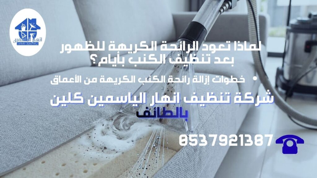 جهاز استخلاص الرطوبة والتعقيم بالبخار أثناء عملية إزالة رائحة الكنب الكريهة نهائيًا وتطهير الألياف.