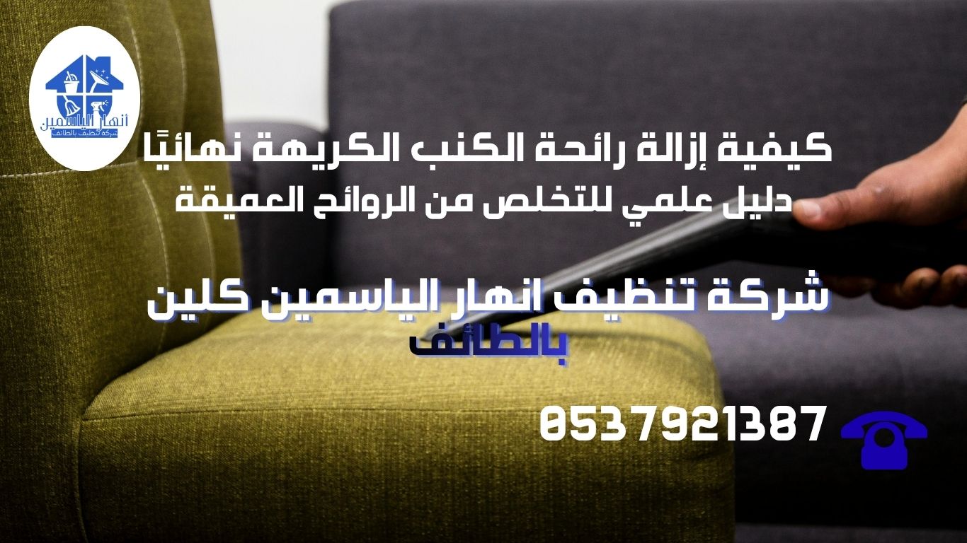 جهاز استخلاص الرطوبة والتعقيم بالبخار أثناء عملية إزالة رائحة الكنب الكريهة نهائيًا وتطهير الألياف.